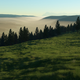 Image for article titled Middle Earth Is Being Recreated On A 1:1 Scale